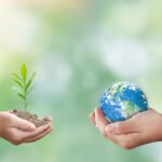 Zwei Hände halten Erde und Pflanze als Symbol für Nachhaltigkeit | Entkalkungsanlage